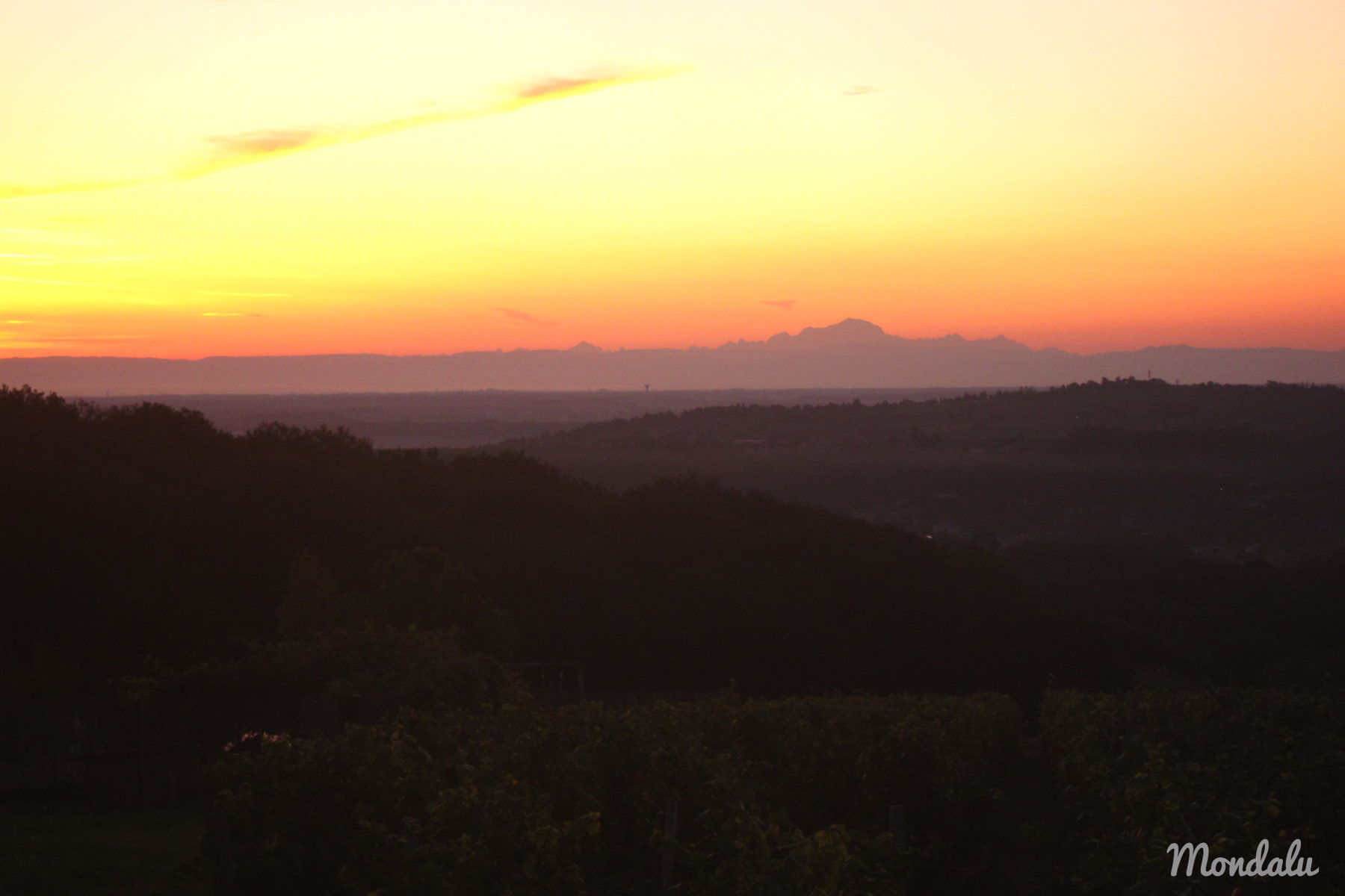 Photo prise un matin de vendanges, lorsque le soleil se lève sur le Mont Blanc